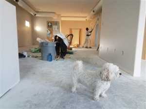 Handwerker voert verbouwingswerk uit - tips voor het verbouwen van een huis